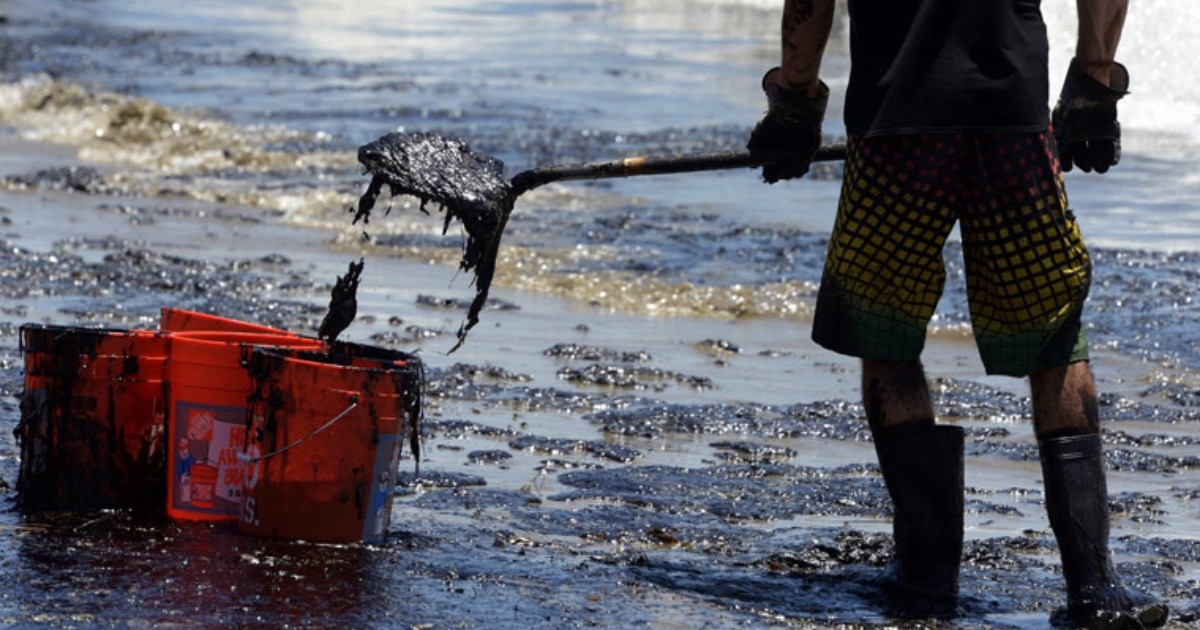 Fotogalería voluntarios limpian una playa por derrame de petróleo en