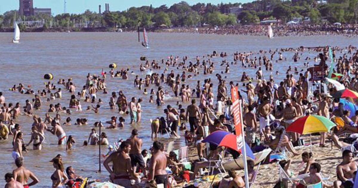 Rambla Catalunya Unas 60 Personas Fueron Mordidas Por Palometas Rosario3