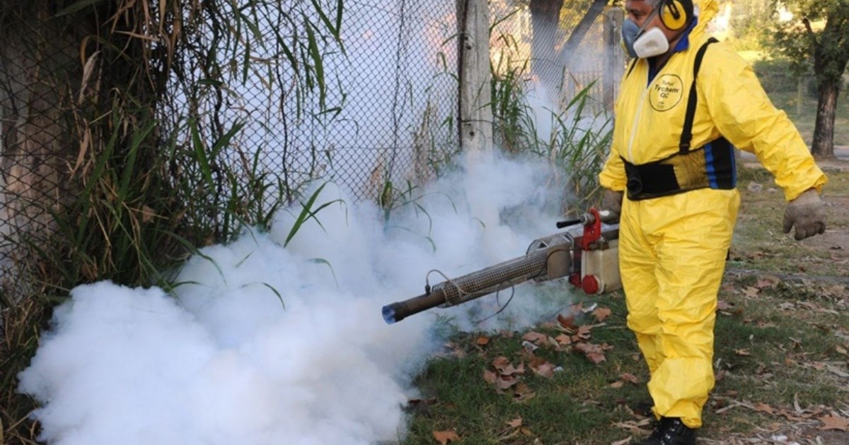 Dengue Piden Al Municipio Que Detalle El Plan De Fumigaciones Para