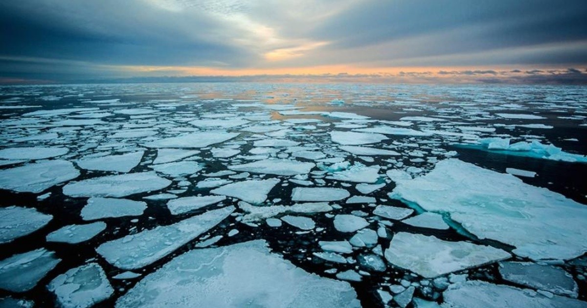 Cambio climático el Ártico se calienta cuatro veces más rápido que el