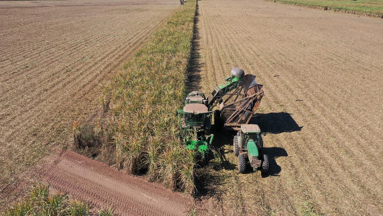 El agro piensa que mejorará su rentabilidad con las medidas a cuál le