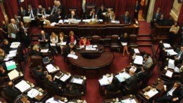 El Senado de la Nación, ante dos temas que generan controversias.