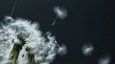 "Viento dile a la lluvia..."