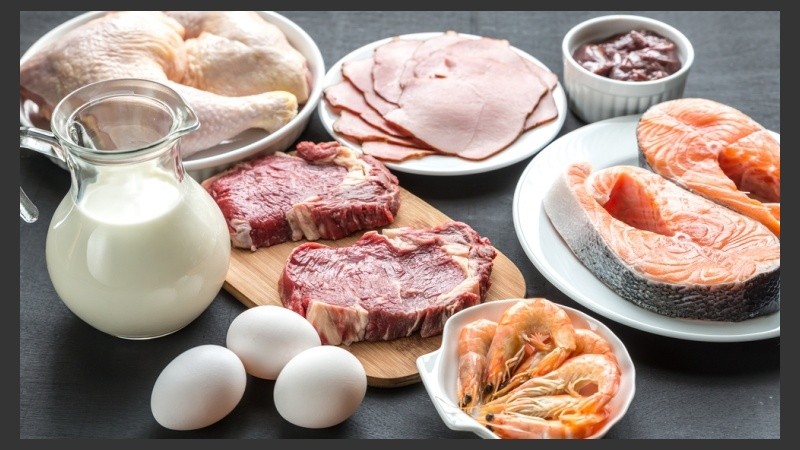 Dietas Ricas En Proteínas Por Qué Nos Hacen Perder Peso Rosario3 5342