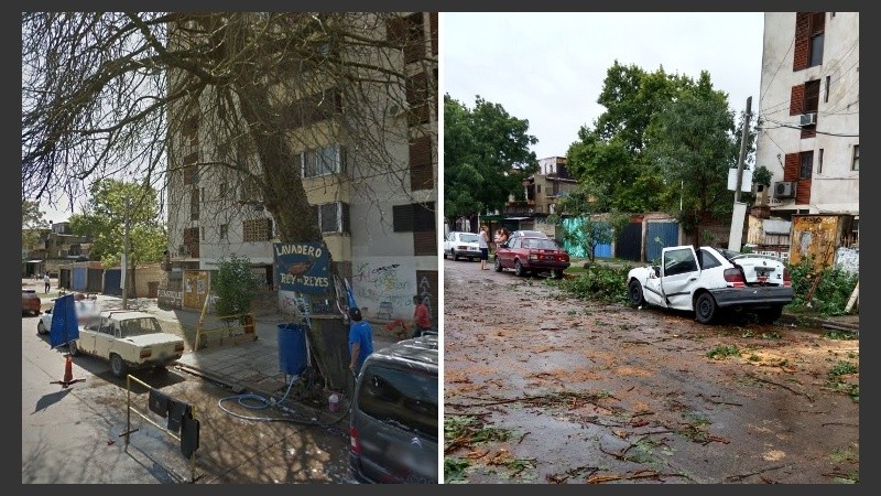 Antes y después. El árbol llevaba años peligrosamente inclinado.