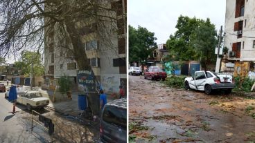 Antes y después. El árbol llevaba años peligrosamente inclinado.