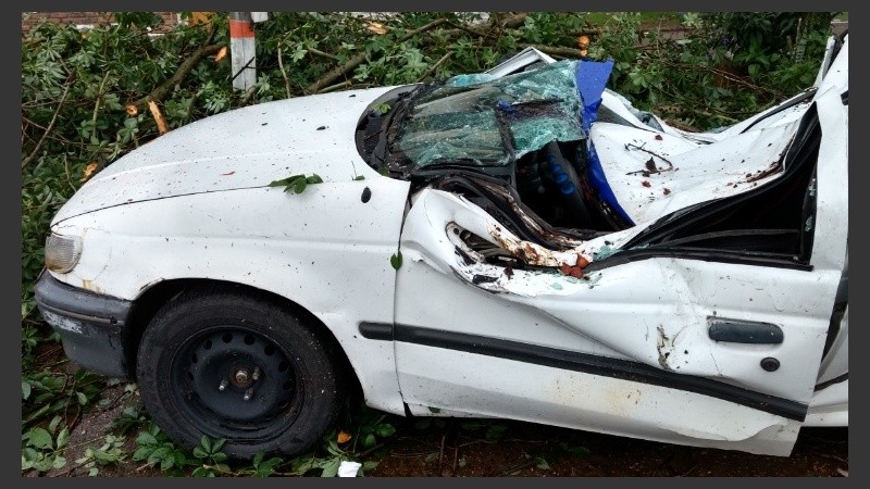 Así quedó el coche luego de que el pesado tronco le cayera al medio.