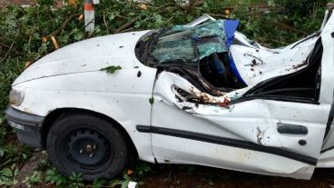 Así quedó el coche luego de que el pesado tronco le cayera al medio.