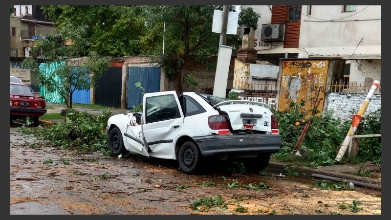 Así quedó el coche luego de que el pesado tronco le cayera al medio.