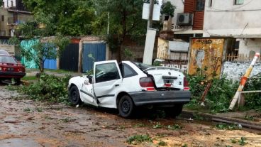 Así quedó el coche luego de que el pesado tronco le cayera al medio.