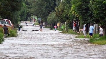 Mucha agua durante el mes de enero.