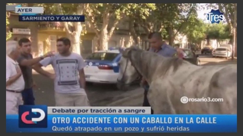 Opiniones encontradas tras el accidente del caballo. 