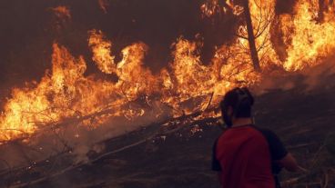 Pobladores trabajan junto a bomberos contra las llamas en la región de El Maule.