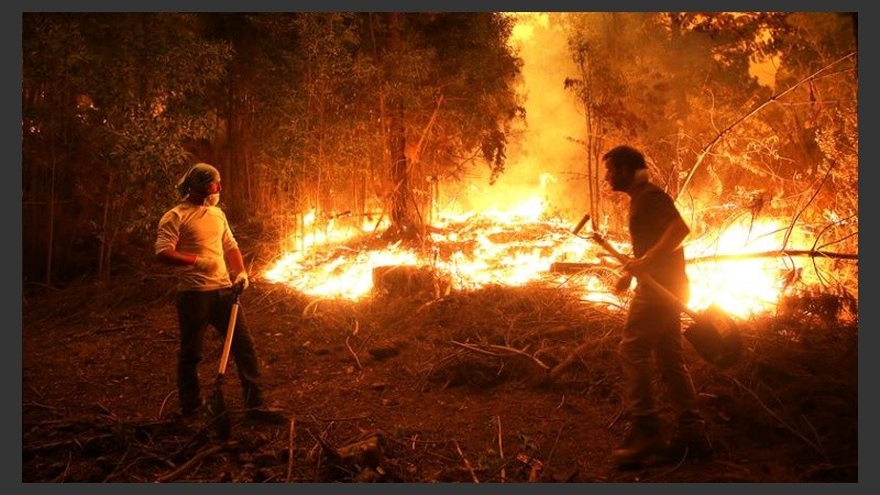 Los incendios forestales de Chile se cobraron seis vidas.