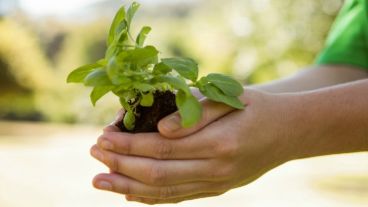 Este año se llevará adelante el Parlamento Estudiantil Ambiental, un ámbito que se propone concientizar sobre el cuidado del medio ambiente.