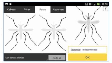 En pocas horas la app recibió cientos de descargas.