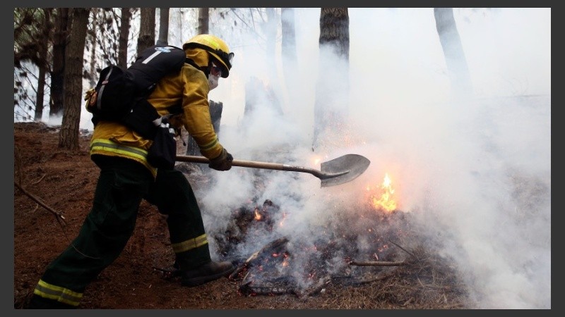 Bomberos trabajan sin descanso en las áreas afectadas.