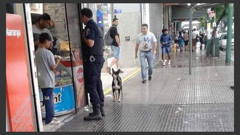 La foto que se volvió viral. 