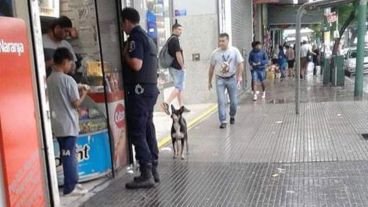 La foto que se volvió viral.