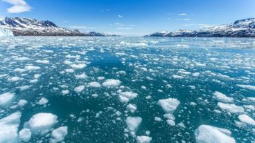 Si se realiza el proyecto, se "revertiría la tendencia de la pérdida de hielo marino".