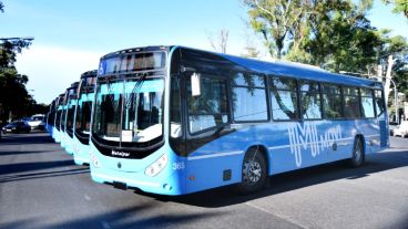 Los nuevos coches presentados por el municipio.