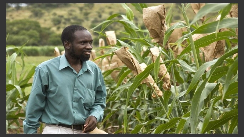 El presidente de Sudáfrica solicitó expropiar tierras de blancos.