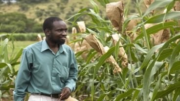 El presidente de Sudáfrica solicitó expropiar tierras de blancos.