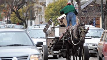 Gianelloni: “A partir del 31 carro en la calle, carro que es retirado".