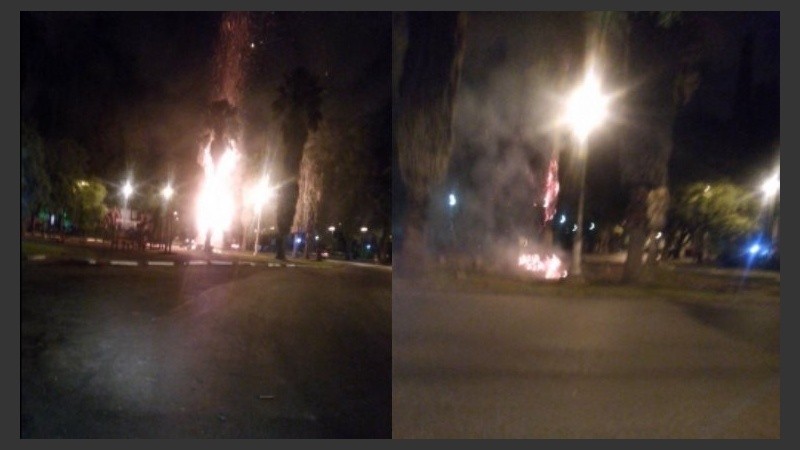 El momento en el que la palmera se incendia. 