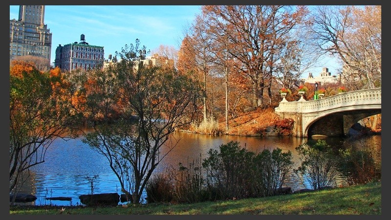 Central Park es una de las atracciones de la ciudad. 