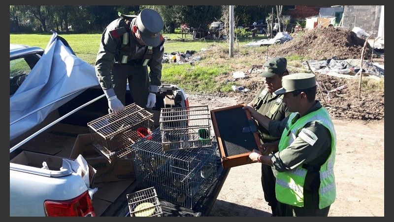 El control se realizó en la localidad santafesina de Centeno.