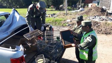 El control se realizó en la localidad santafesina de Centeno.