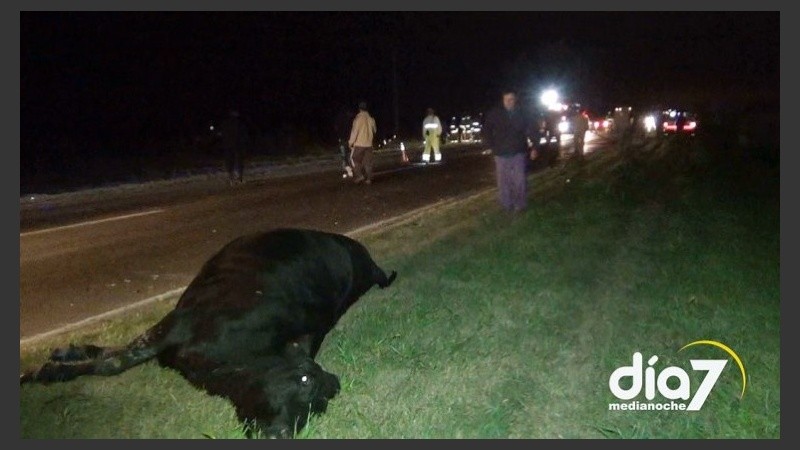 Así quedó la vaca al costado de la ruta 33 tras el impacto. 