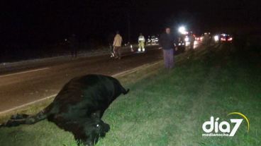 Así quedó la vaca al costado de la ruta 33 tras el impacto.