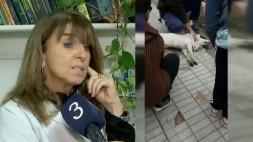 La veterinaria Diana Bonifacio.