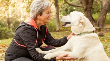 Los mayores de 64 años que tienen un perro dedican cada día una media de 22 minutos adicionales a caminar.