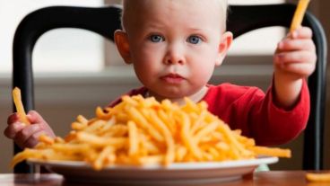 El niño necesita incorporar su dosis diaria de lácteos, verduras, frutas y proteínas.