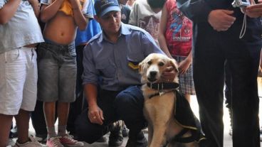 Cartucho se quedará en la 7ª.