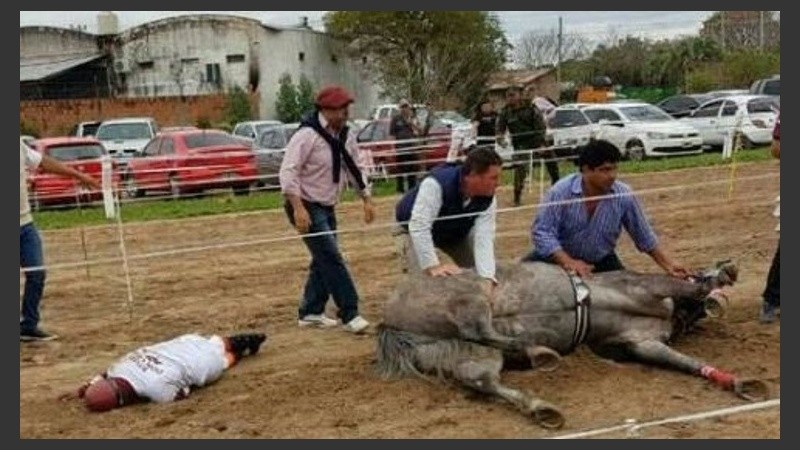 La yegua caída y el jockey golpeado. 