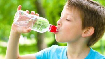 En la dieta de los niños, hay que incluir el consumo de al menos 8 vasos diarios de agua.