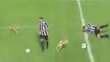 Tirado en el cesped, así quedó el jugador tras la falta del perro.