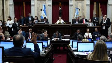 El Senado trató el paquete económico del gobierno.