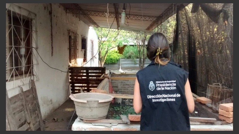 El procedimiento se llevó a cabo en un campo de Virrey del Pino en Buenos Aires.