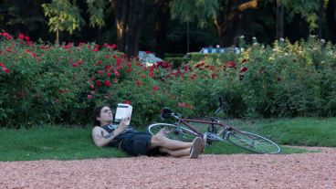 Lectura relajada rodeado de rosas.