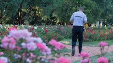 El municipio contrató seguridad privada para que no arranquen ni se roben las distintas plantas del parque.