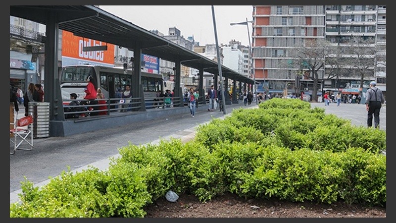 El municipio aseguró que los roedores están en la plaza porque tienen alimento.