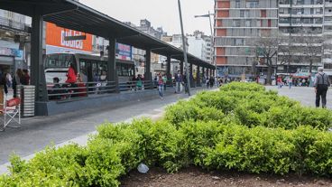 El municipio aseguró que los roedores están en la plaza porque tienen alimento.