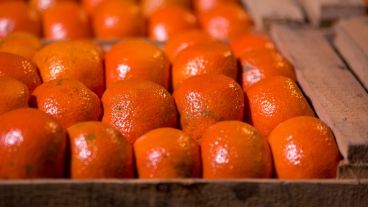 La mandarina, uno de los productos que impulsó la brecha.