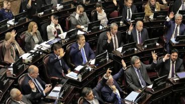 Levantaron las manos los senadores por la aprobación.