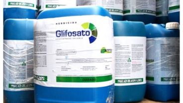 El Glifosato es uno de los productos químicos más utilizados en la agricultura a nivel mundial.